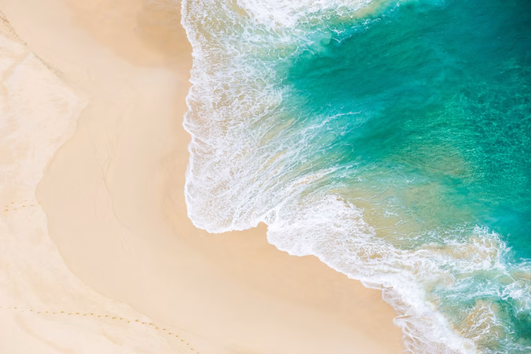 the sea shore